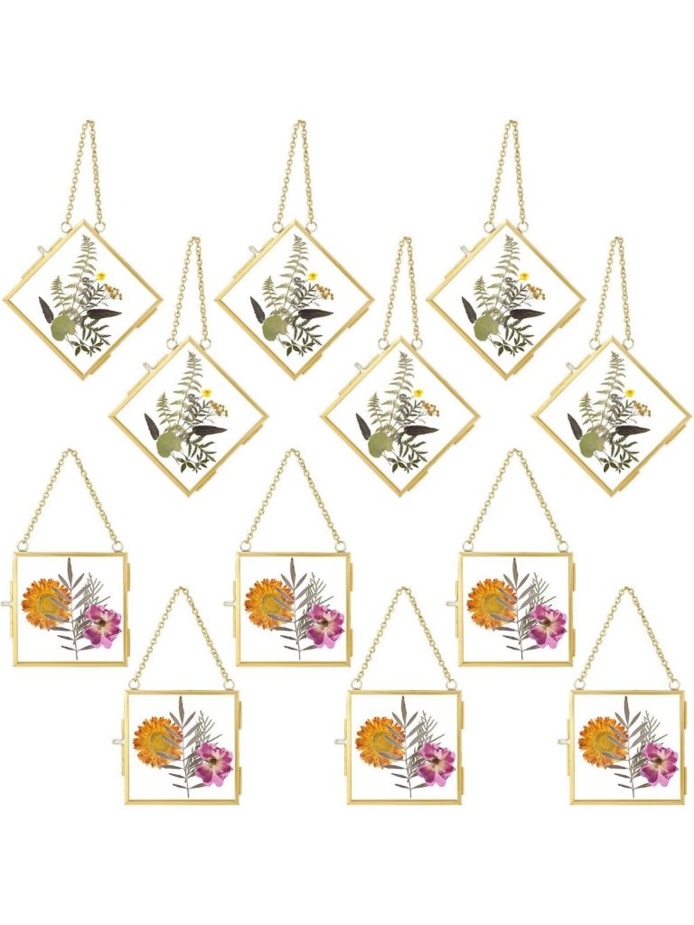 Pressed Flower Frame Set - 12 Pcs Double Glass Gold Metal, 4x4 Inch Decor